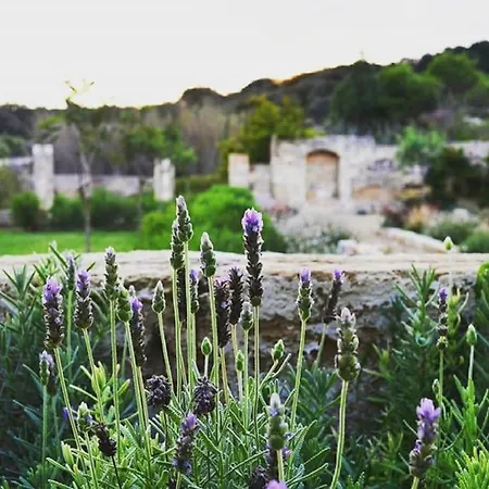 A Rural Retreat In Menorca